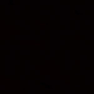 Meet your Posher, Jasmin